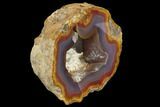 Coyamito Agate Geode Half - Chihuahua Mexico #114497-2